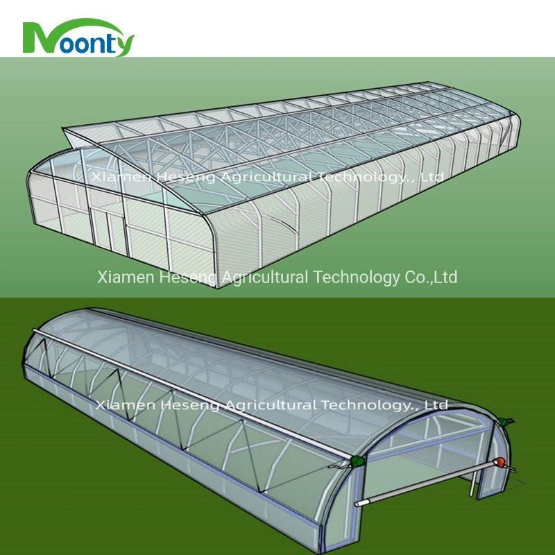 Agrícolas Baratos Solo Span de Gases de Efecto Túnel de la película de polipropileno con riego y cultivos hidropónicos sistemas de cultivo de hortalizas de flores Plantas medicinales