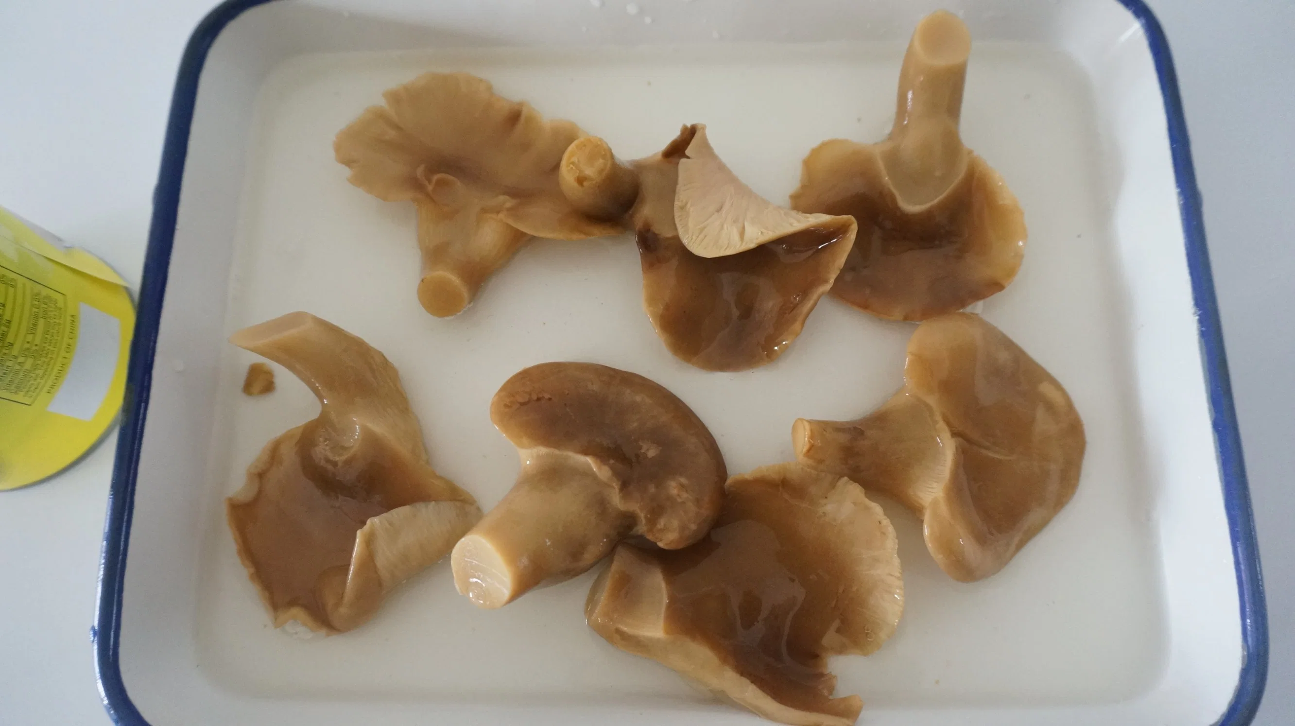 محاري معلب / محار أبون موشروم (propeuropus ostreatus) تصدير المنتج إلى فيتنام