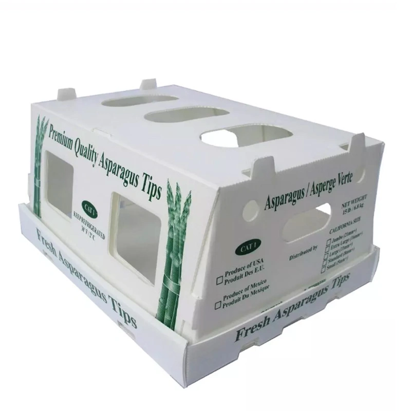 OEM Printed Twinwall Hollow Plastic Asparagus Boxes