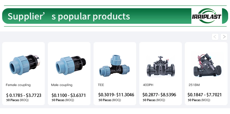 PP Material Female Adaptor Pn16 Fittings