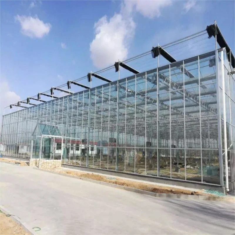 Structure en acier galvanisé Multi-Span/Serre en film plastique avec système d'irrigation hydroponique pour les fraises/les fleurs/les légumes