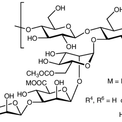 Oil Drilling Chemicals Xanthan Gum Biopolymer Industrial Grade Xanthan