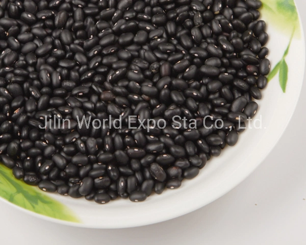 Wholesale/Suppliers Dried Black Kidney Beans 300-330 for Food