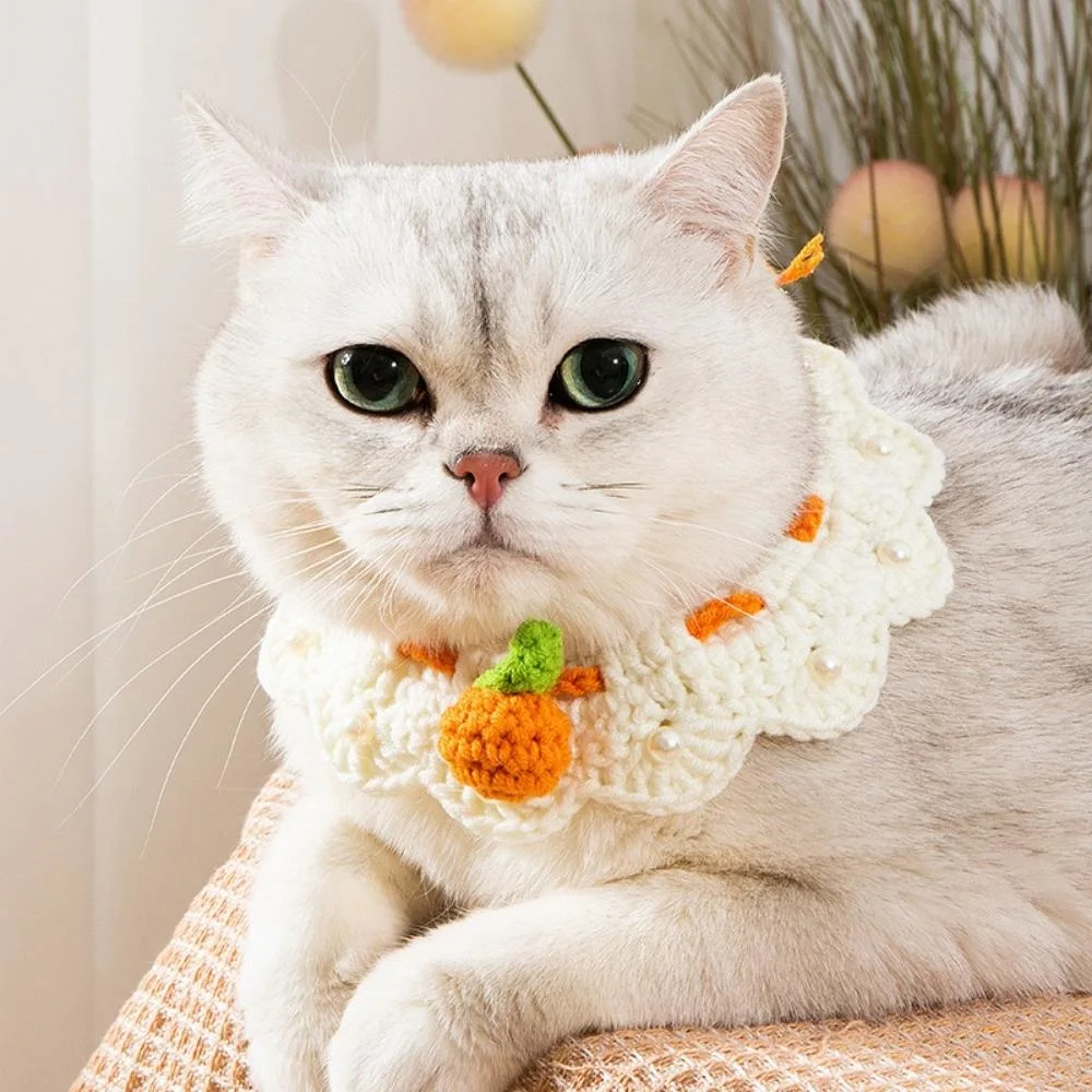 Cute Floral Edge Cat Collar Knitted Bib Scarf Crochet Pet Accessories Wbb22008