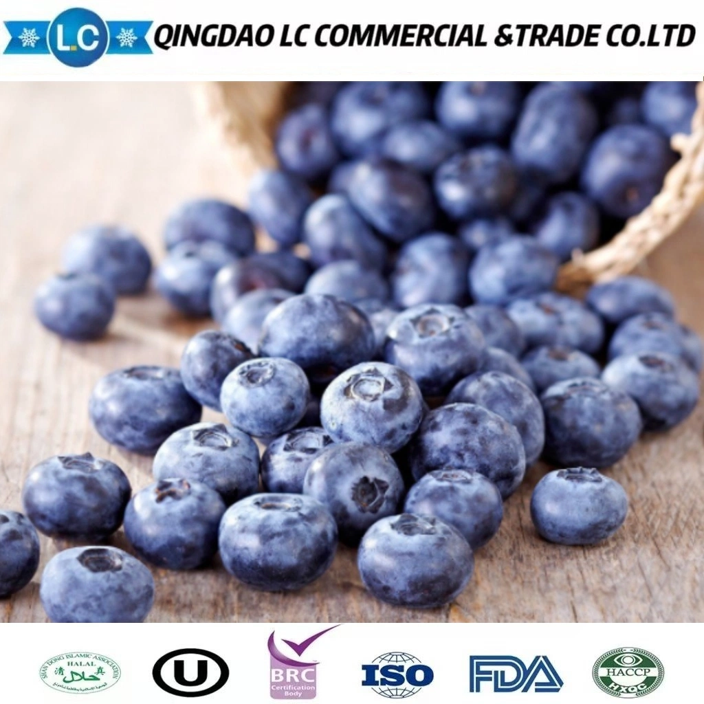 Marcas chinas fruta a granel cultivada de alta calidad Azulejos congelados IQF Precios de arándanos silvestres