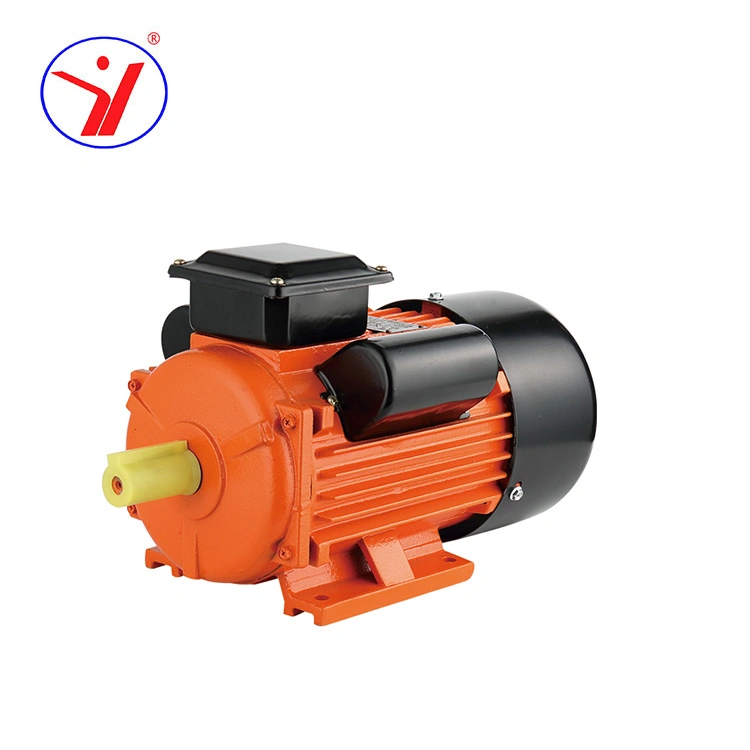 Single Phase Three Phase 100W to 3700W Electric Small AC Induction Motor