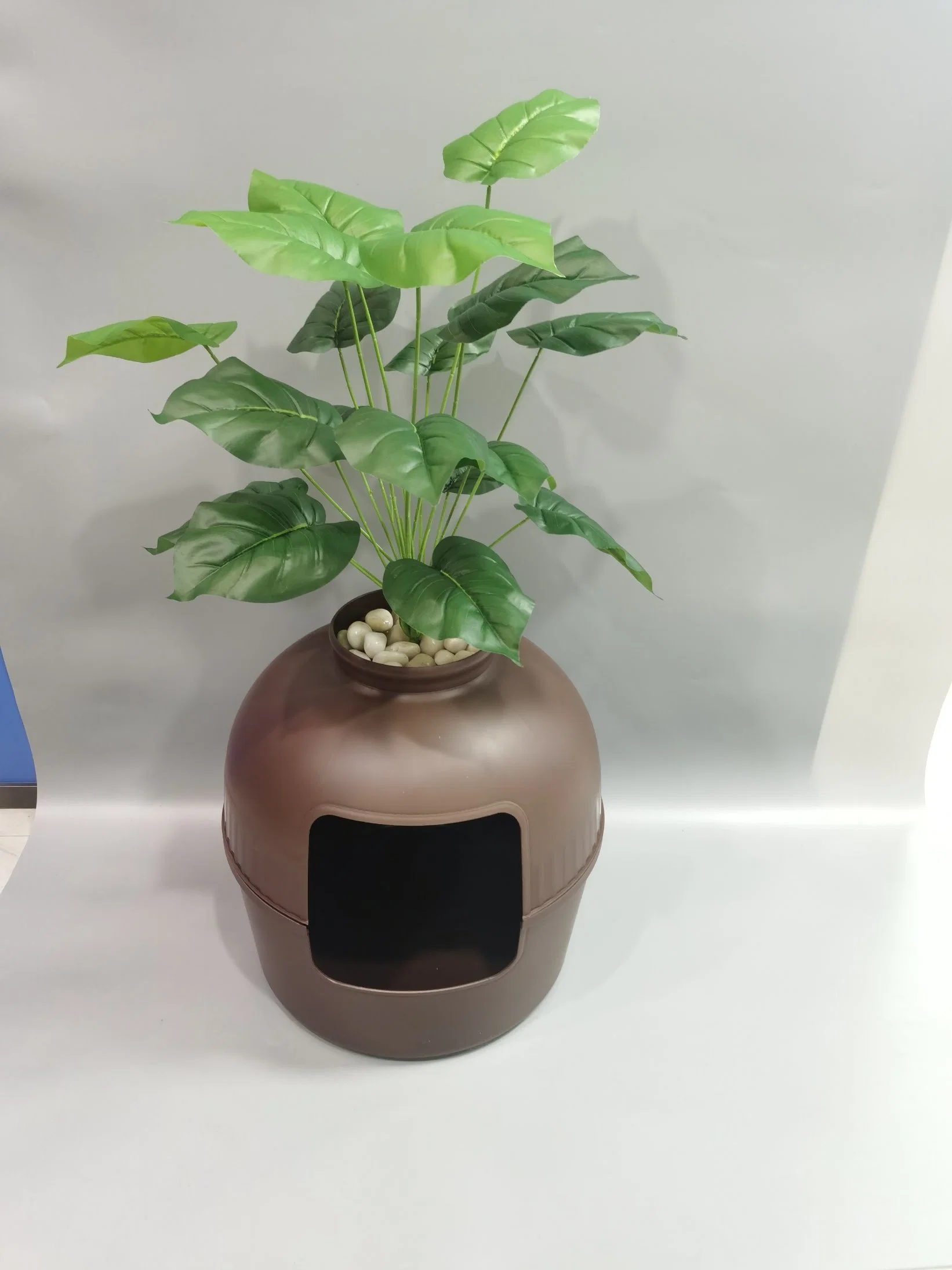 Gato mascota de la planta de productos de limpieza reutilizables Caja de arena con planta verde