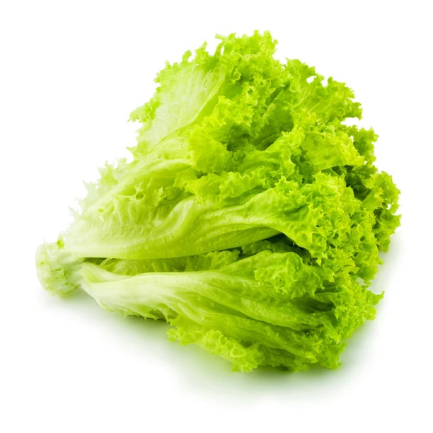 Factory Supply Fast Grow Green Salad Lettuce Seeds for Agriculture Sale