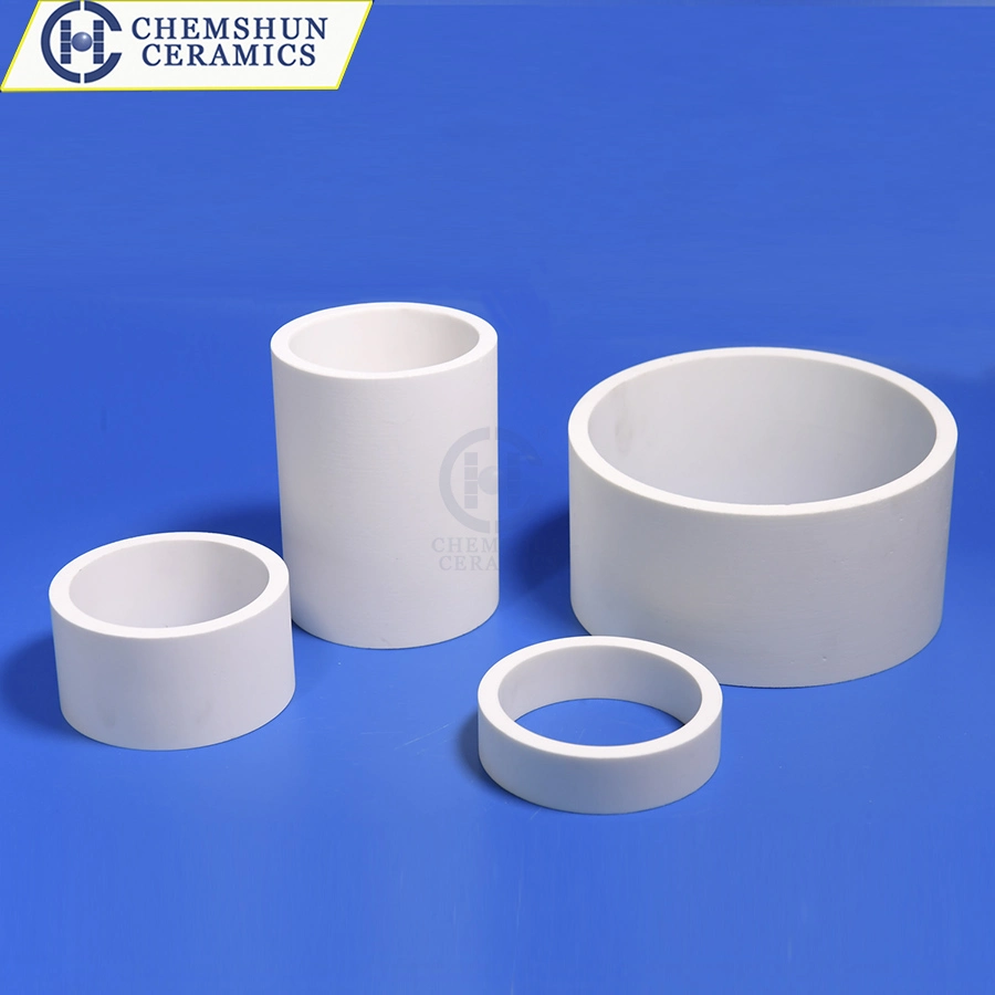 Industrial Abrasive Ceramic Segment and Rings as Abrasion Resistant Materials