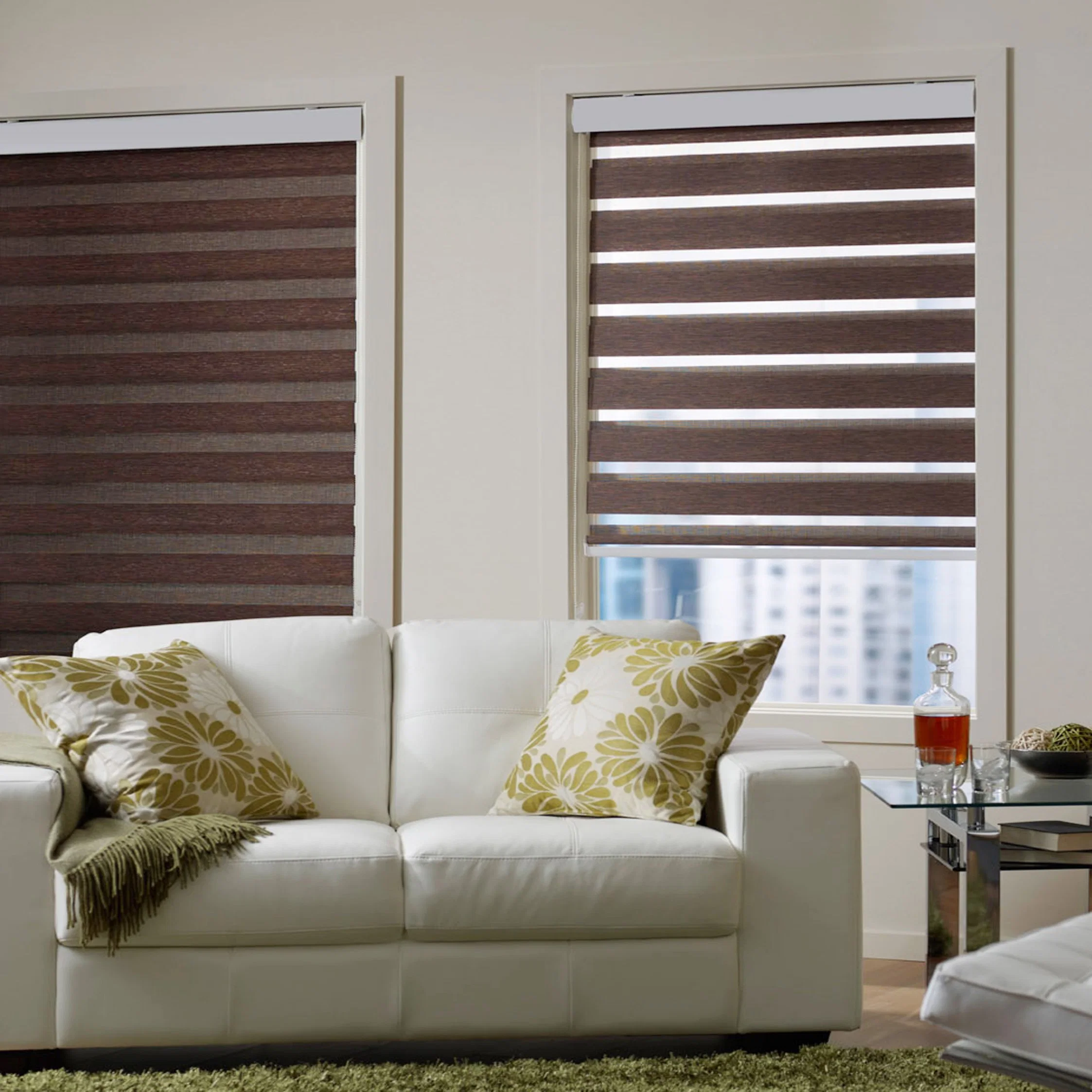 New Design Zebra Blinds and Curtains, Day and Night Blinds