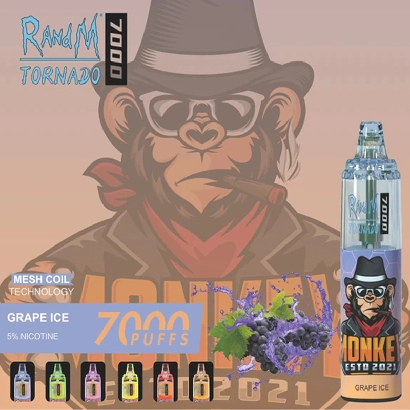 Ventes en usine directement Randm Tornado 7000 Puffs stylo Vape rechargeable Liquide E-Liquid 14 ml avec lumière RVB