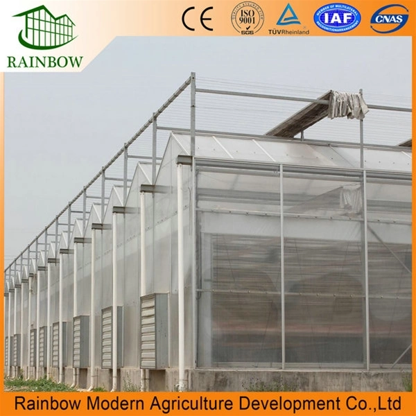 Rainbow Factory Direct Sale PC Board Greenhouse