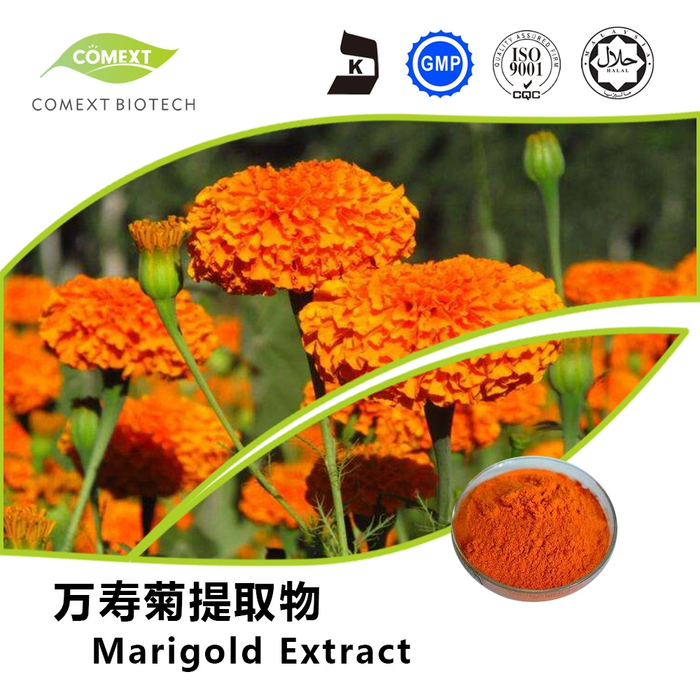 Comext Factory Price Promotion Herbal Extract Food Grade Zeaxanthin Water Soluble Lutein 5%-80% Phytoxanthin Extract Marigold Extract