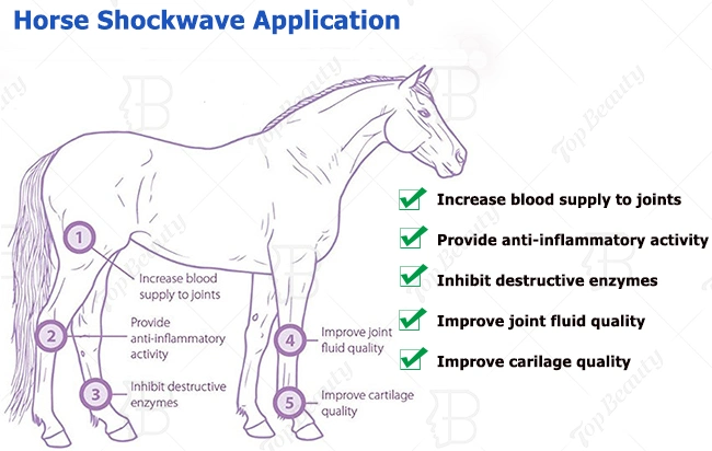 New Portable Vet Shockwave for Horse & Big/Small Animal Shock Wave Therapy Equipment