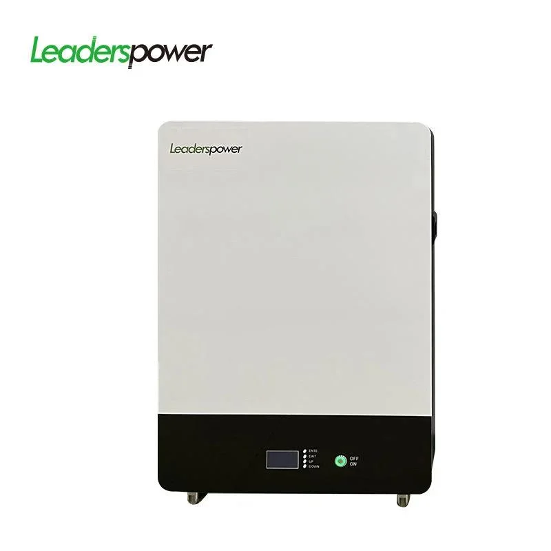 Leaderspawer batterie d'alimentation LiFePO4 haute performance : montage mural 51,2V 100ah 200ah 5kwh 10kwh batterie solaire pour système de stockage solaire domestique