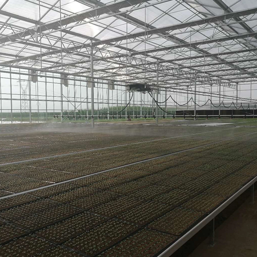 Factory Supply Polycarbonate Greenhouse for Hydroponics Vegetables/Fruits