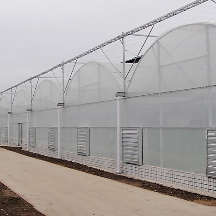 WMGH005 Multi-span polycarbonate green house vegetable greenhouse for tomato