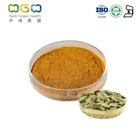 Latin Name Cassia Angustifolia Natural Senna Leaf Extract