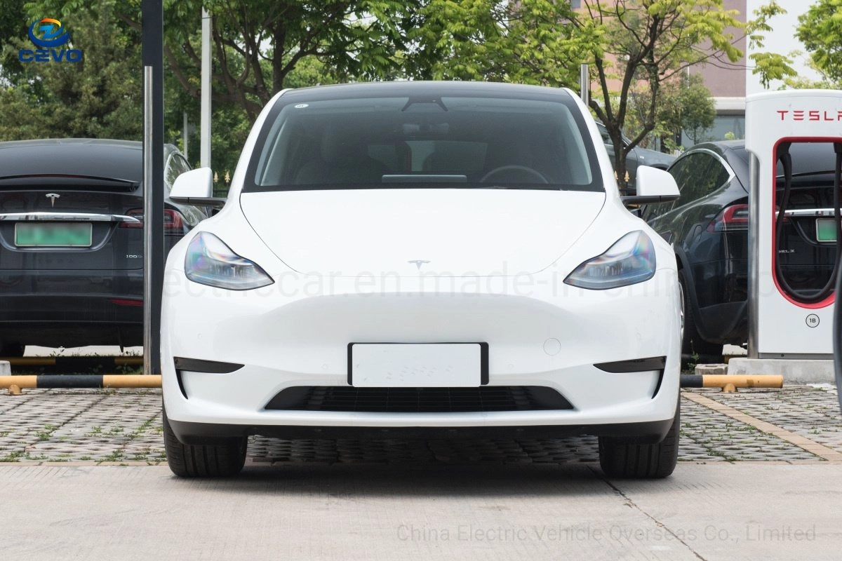 Fabricantes Stock Low Cost lujoso piloto automático larga distancia Nueva Energía Stock Elon Musk más barato eficiencia vehículos eléctricos EV Modelo y Coche eléctrico para la venta