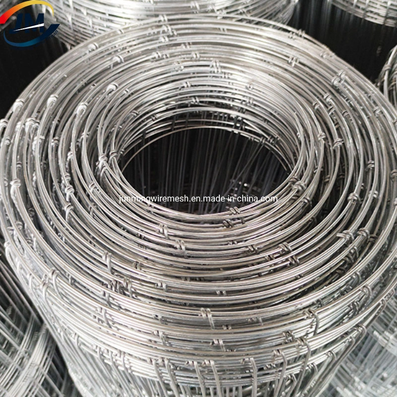 Hot Dipped Galvanized Fixed Knot Hinge Joint Fence/Field/Farm/Cattle Deer Horse Sheep Wire Mesh Fence 5 6 7 8FT for Grassland