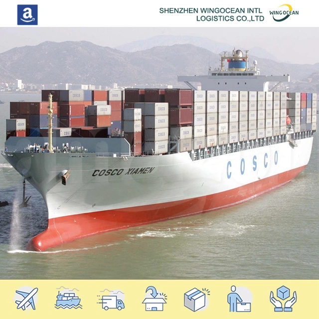 La empresa de transporte barato internacional Transitario Mar de China Ocean Shipping to uk// Francia Alemania Italia España//.