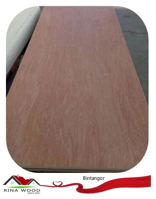 Competitive Price Rina Wood 4mm X 2440X1220mm Bintangor Plywood Sheets for Furniture and Decoration