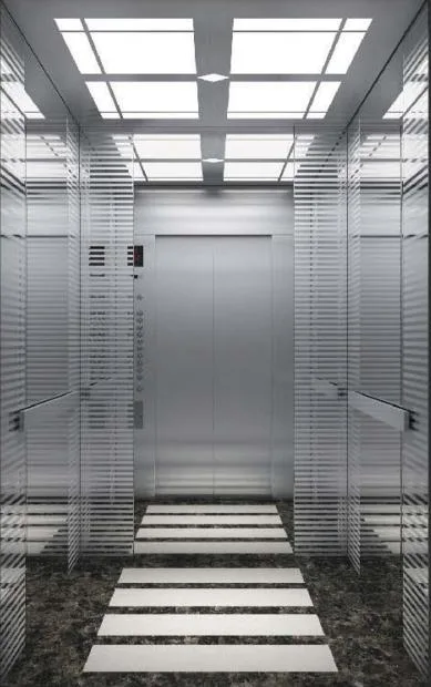 Various Design Passenger Elevator/ Passenger Lift