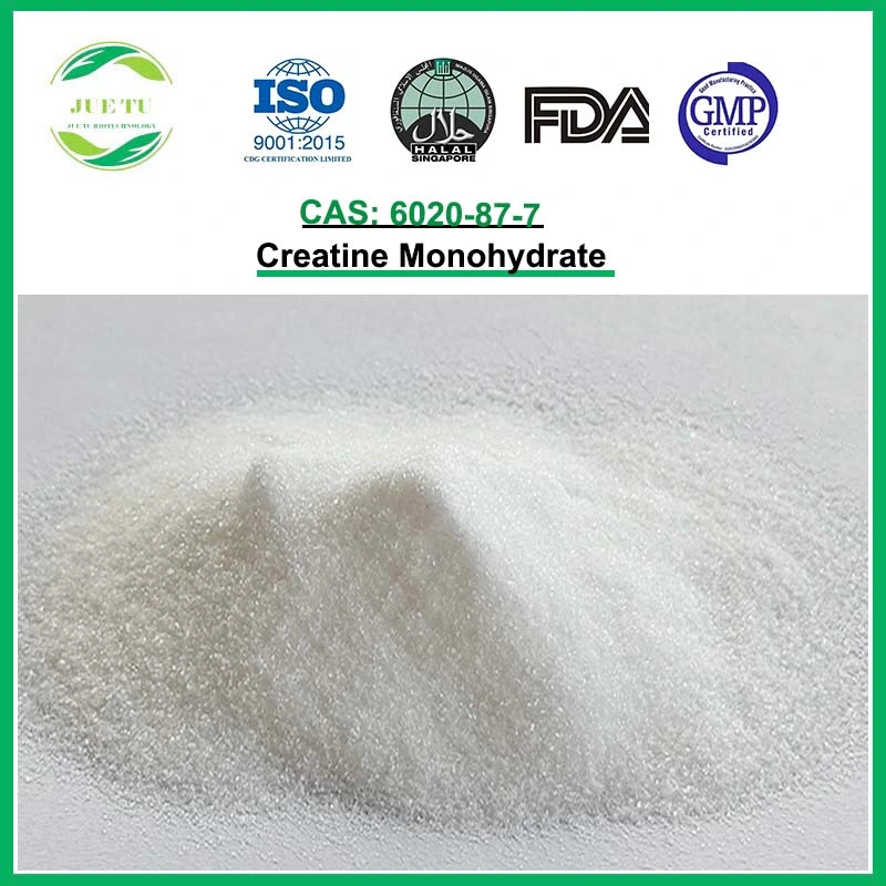 CAS6020-87-7 poudre brute créatine monohydraté pour muscle et cerveau