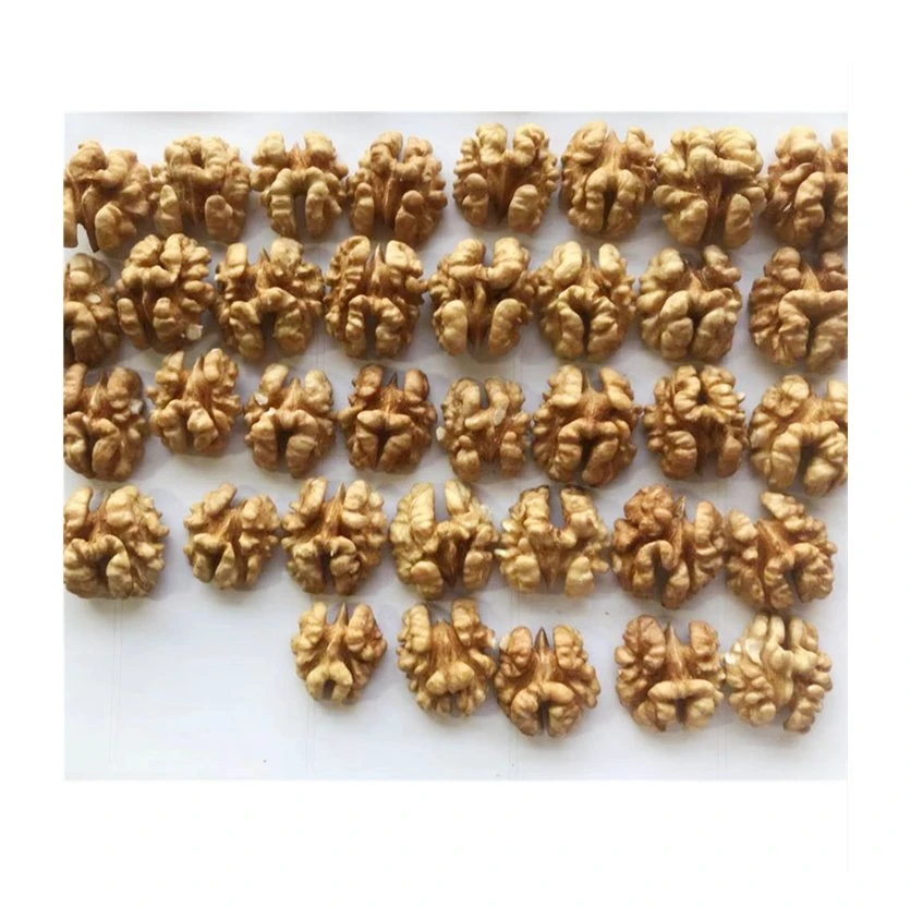 Best Price Unshelled Walnut Kernels