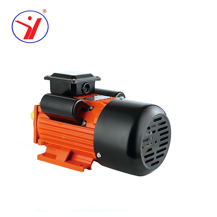 Single Phase Three Phase 100W to 3700W Electric Small AC Induction Motor