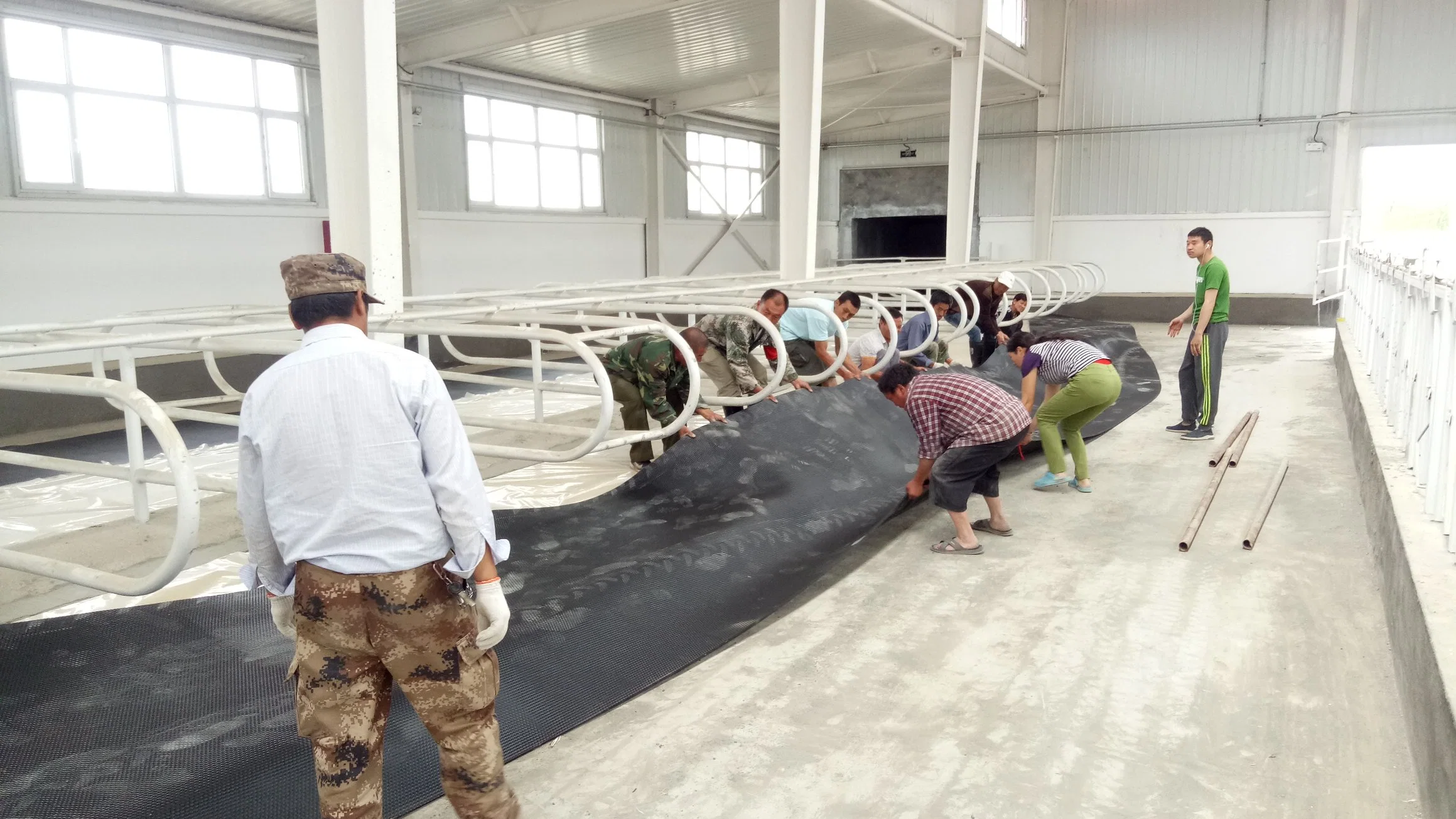 Calage de la vache en caoutchouc de bonne qualité de l'élevage le tapis de plancher avec 5-10 ans la durée de vie