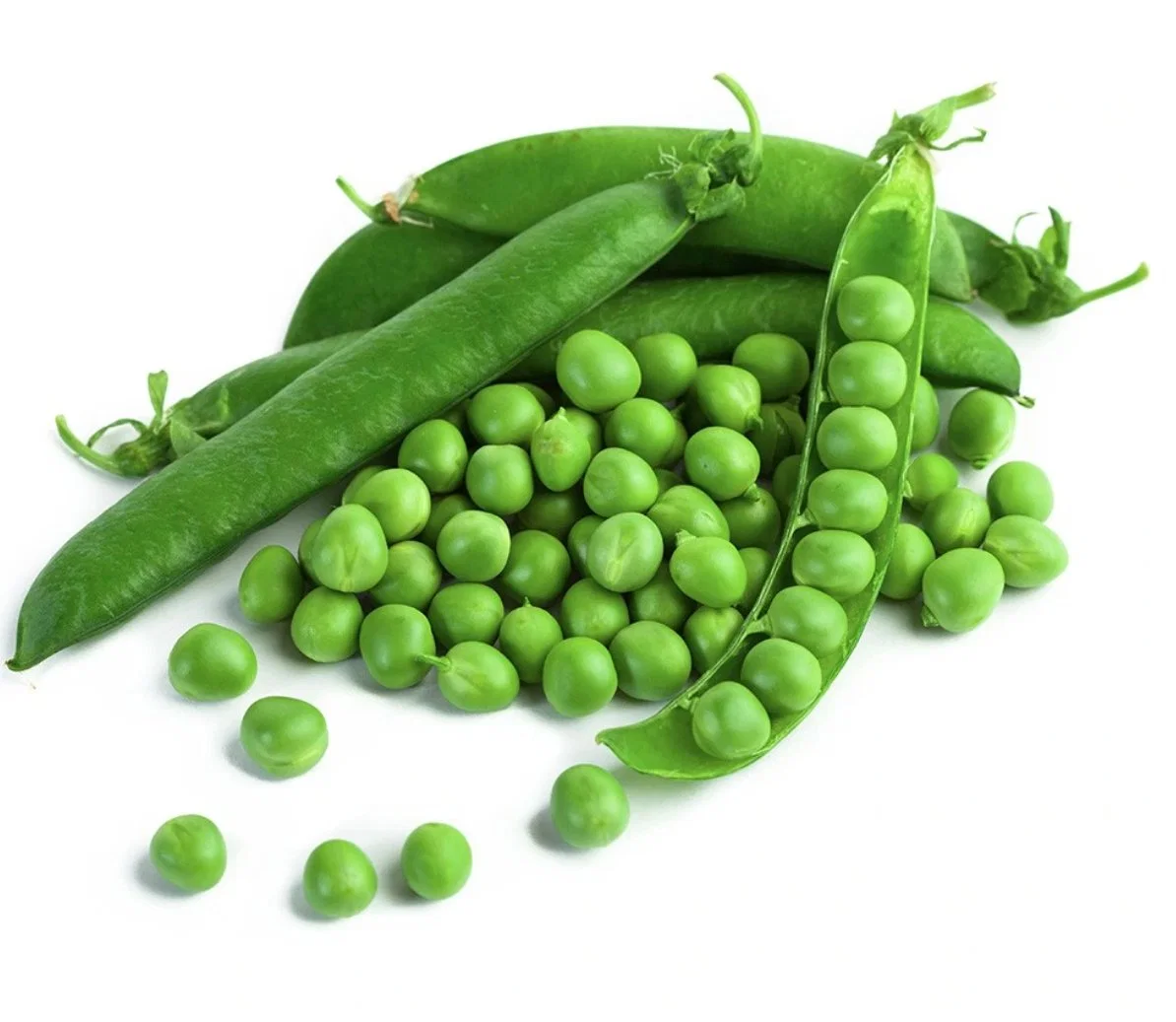 Organic Pea Protein Extract Dietary Fiber Water Soluble