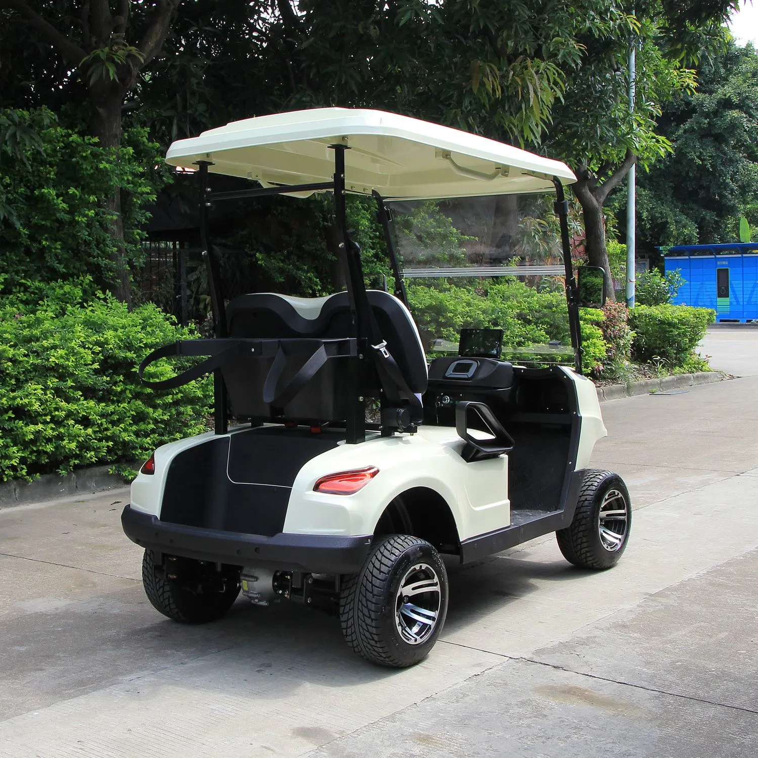 2 lugares bateria operado chumbo-ácido ou lítio Powered Golf Carro de turismo autocarro