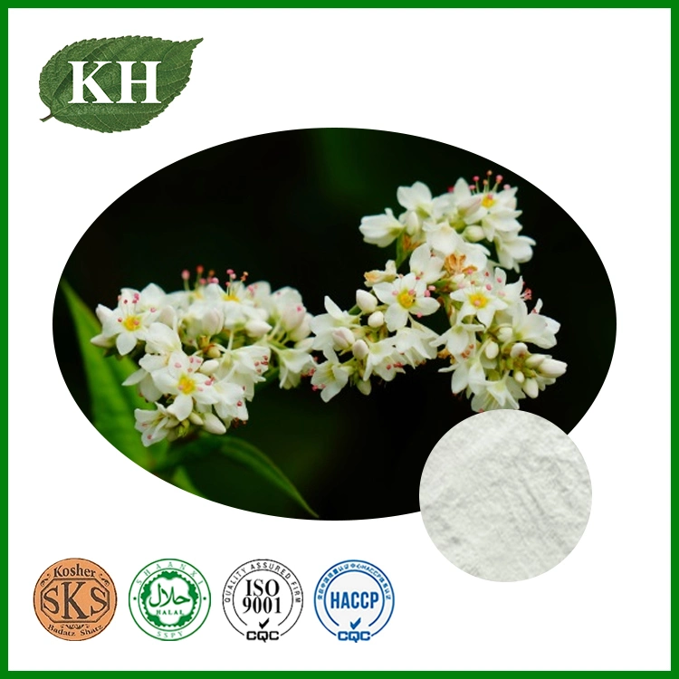 Loss Weight Buckwheat Seed Extract Total Flavonoids