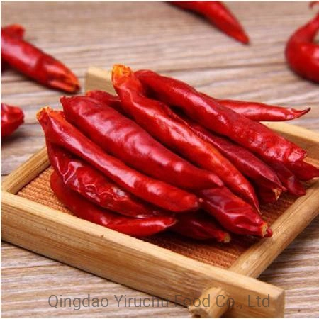 Premium Quality Dry Red Chili