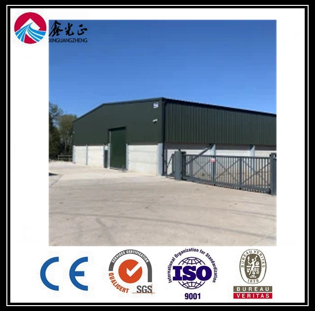 Galvanized Steel Frame Steel Sheds Galpon Workshop Almacen Metal Building Construction Prefabricated Building Steel Structure Warehouse (BYSS-101)