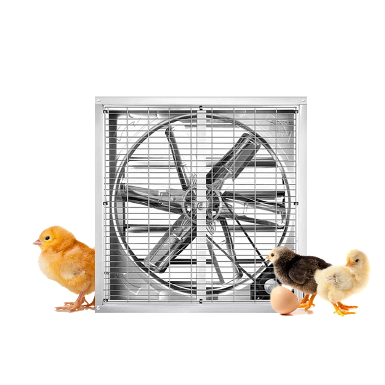 380V 220V AC Ventilateurs Axiaux pivotée Drop MARTEAU ventilateur d'évacuation à usage intense pour l'agriculture et de refroidissement de serre Case de l'extracteur de ventilation