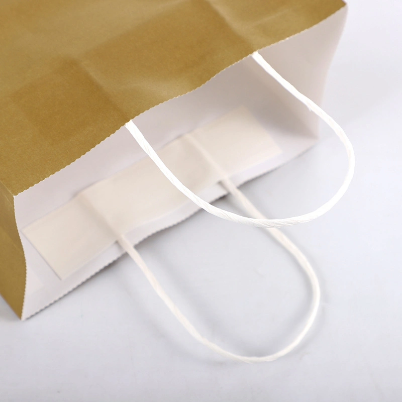 Custom Printed Handle Rope Recycled Packaging Paper Bag