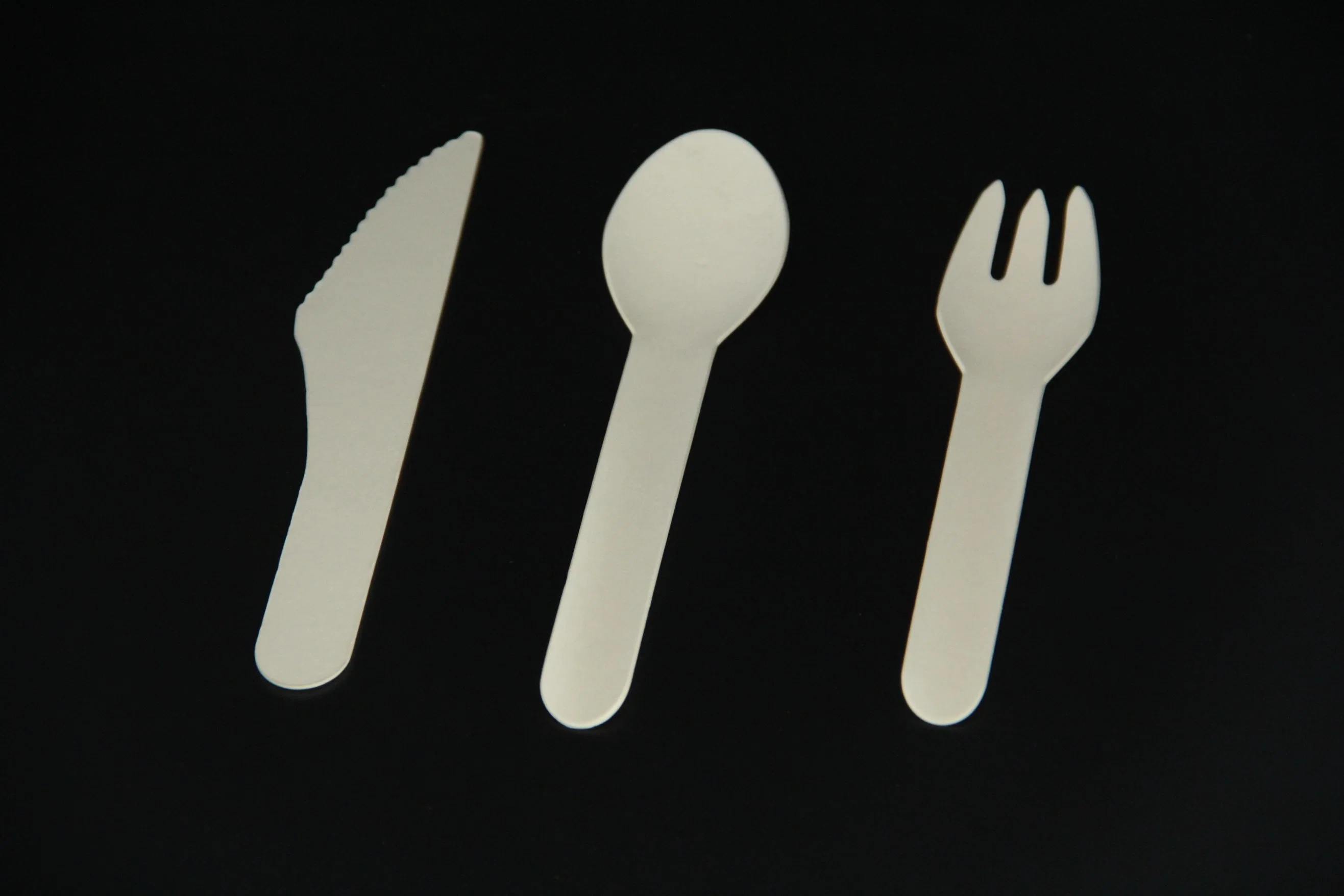أدوات المائدة الخشبية المصنوعة من الخيزران للاستخدام الفردي والودودة للبيئة تضع السكين على شكل سكين