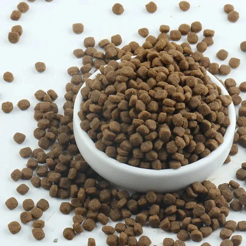 Fórmula de la ciencia de alto valor proteico OEM Alimentos para gatos Pet 10kg proteína natural ricos sabores de pollo pescado seco de todas las edades de las formas de Comida de gato