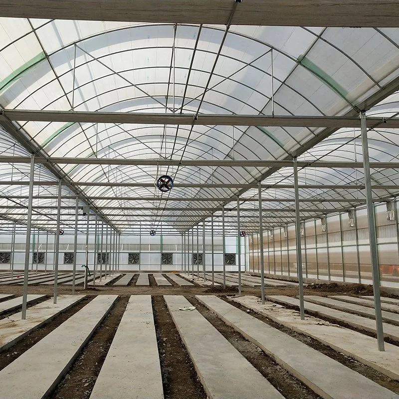 Customized High Permeability Sealed Galvanized Steel Glass Covered Greenhouse with Farm Irrigation System