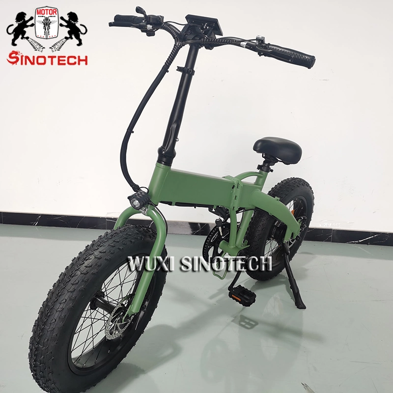 2023 New Arrival Wholesale/Supplier Fat Bear 20in Electric Bicycle Ebike