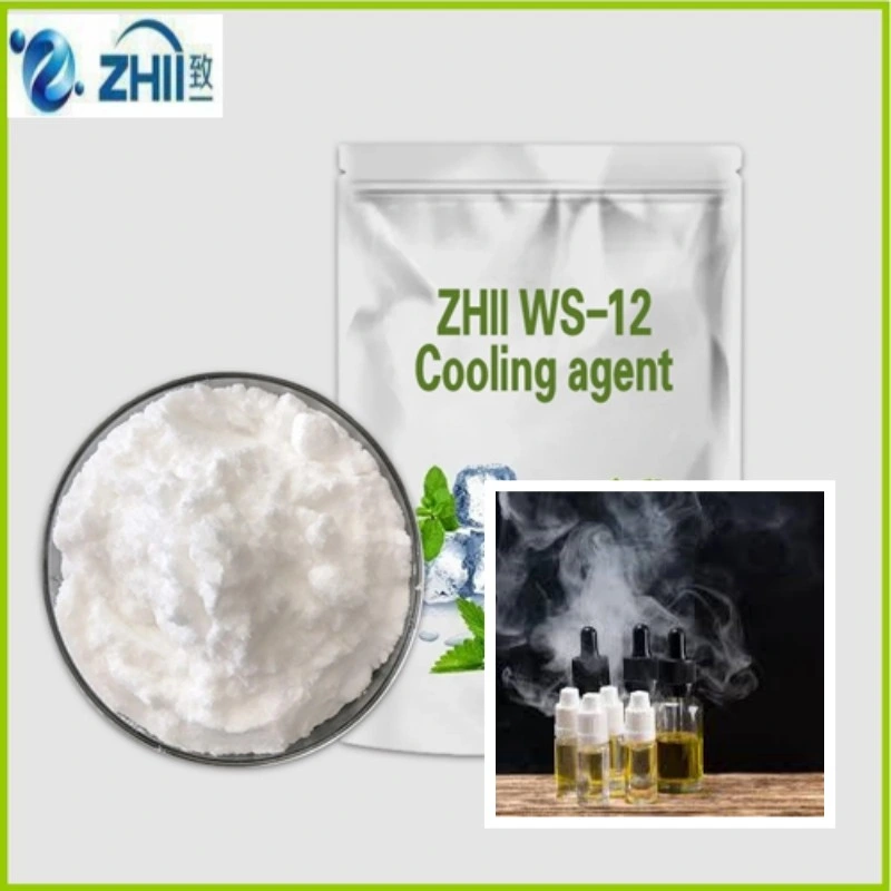 Zhii CAS n° 68489-09-8 agente de refrigeração Ws-12 em pó para goma de mascar agente de refrigeração Koolada WS12