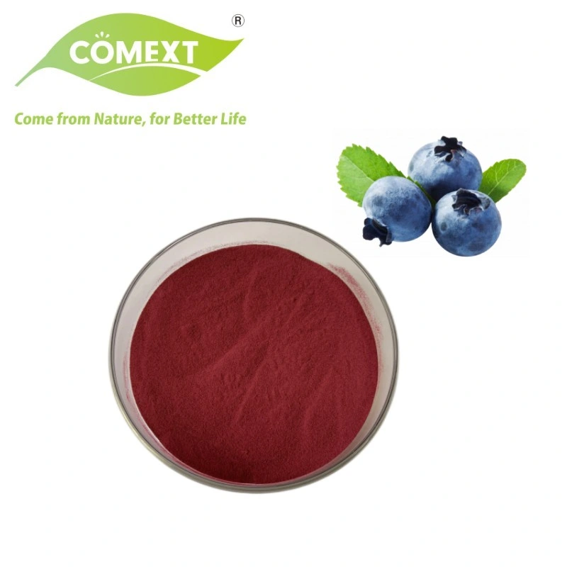 Comext European Bilberry Fruit Extract Powder 25% antocianinas para Anti-Aging