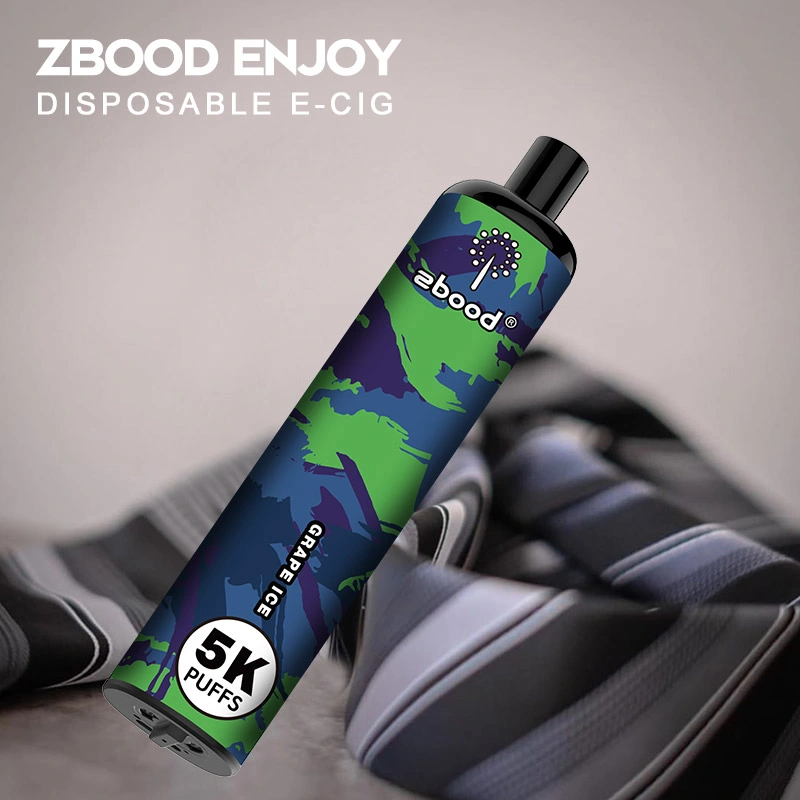 Zbood Personalizar Disfrute de 5000 Puff Tipo C lápiz desechable VAPE Equipo Pod 10000 7000 Puff E Cigarette VAPE