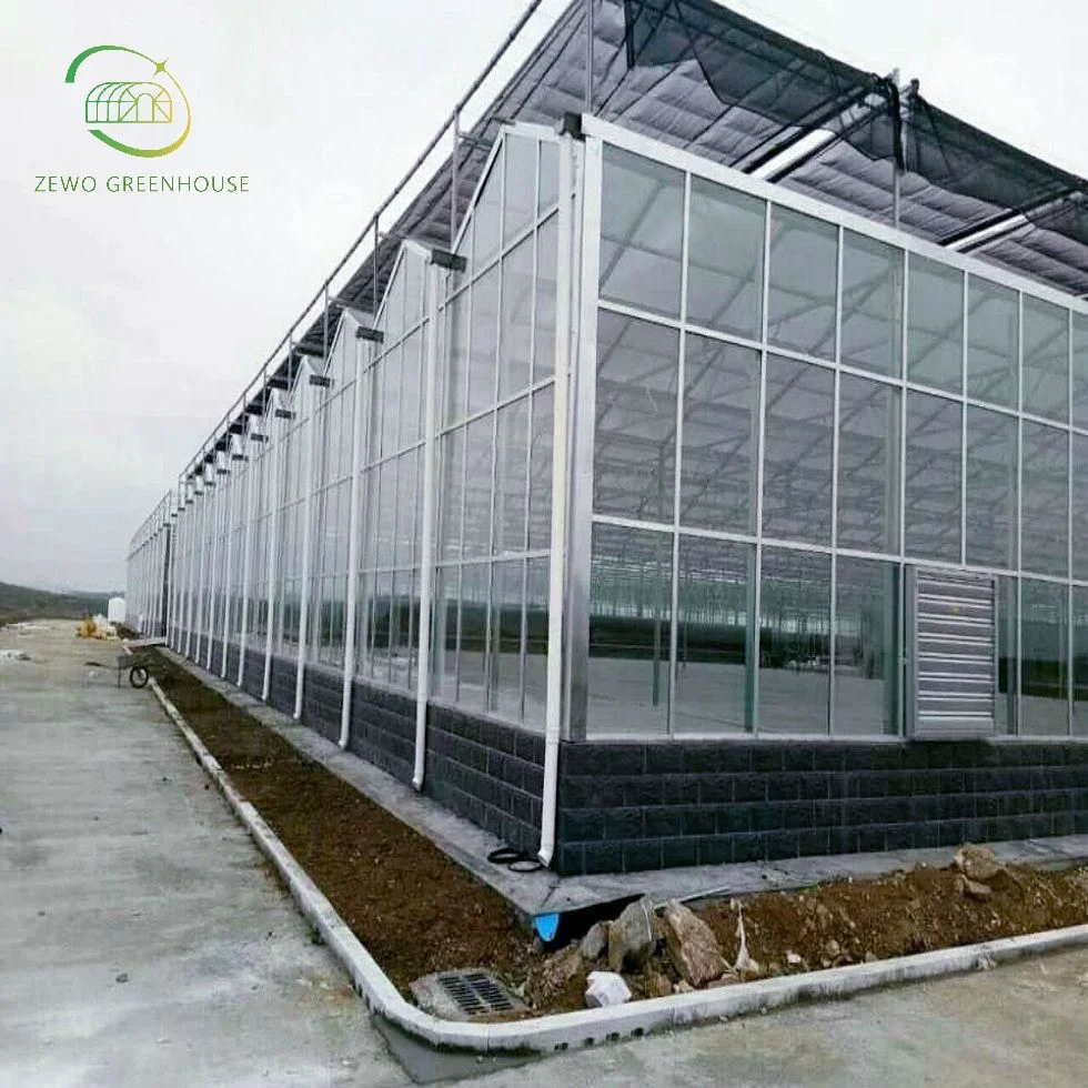 Multi-Span Poly Carbonate Agricultural Greenhouse for Tomato/ Cucumber/ Lettuce/ Pepper Planting