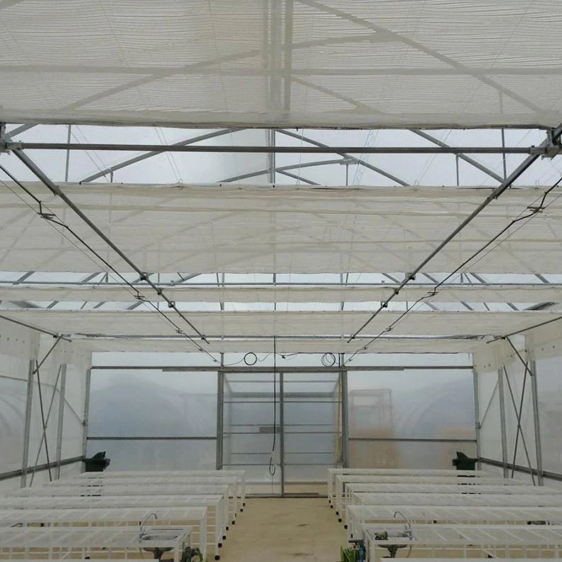 Sunlight Tunnel Fruits Tomato Film Agriculture Greenhouse