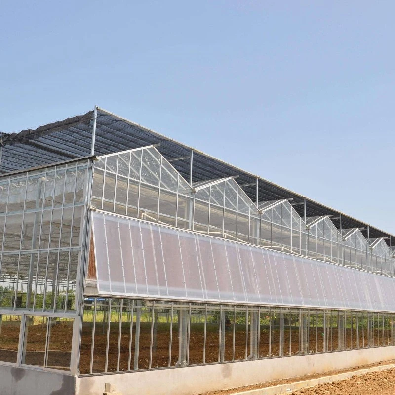 Agricultural Multi-Span Glass Greenhouse with External/Internal Shading System