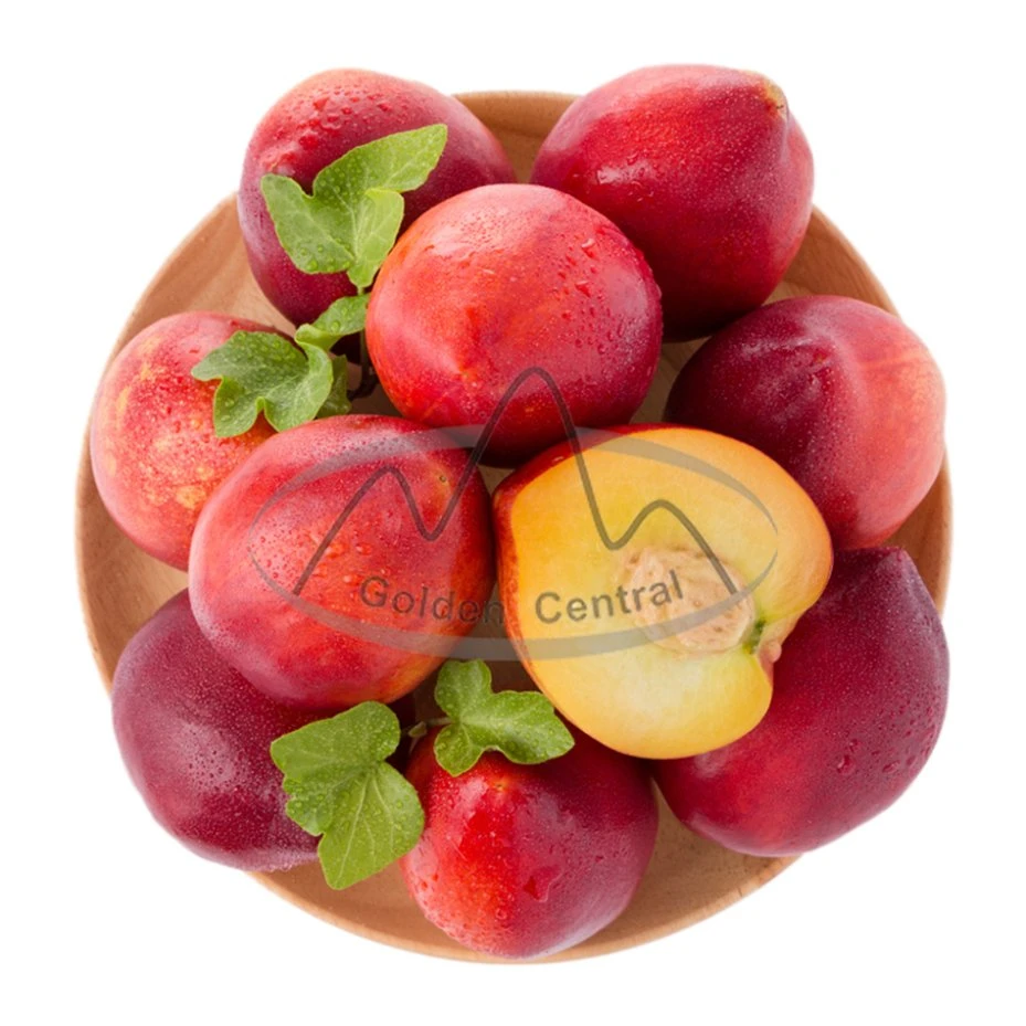 2023 Neue frische Nectarine Peach mit niedrigem Preis