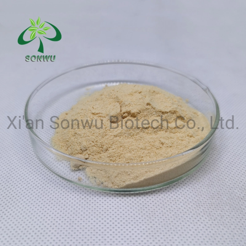 Sonwu Supply Plant Extract Monk Fruit Extract 80% Mogroside